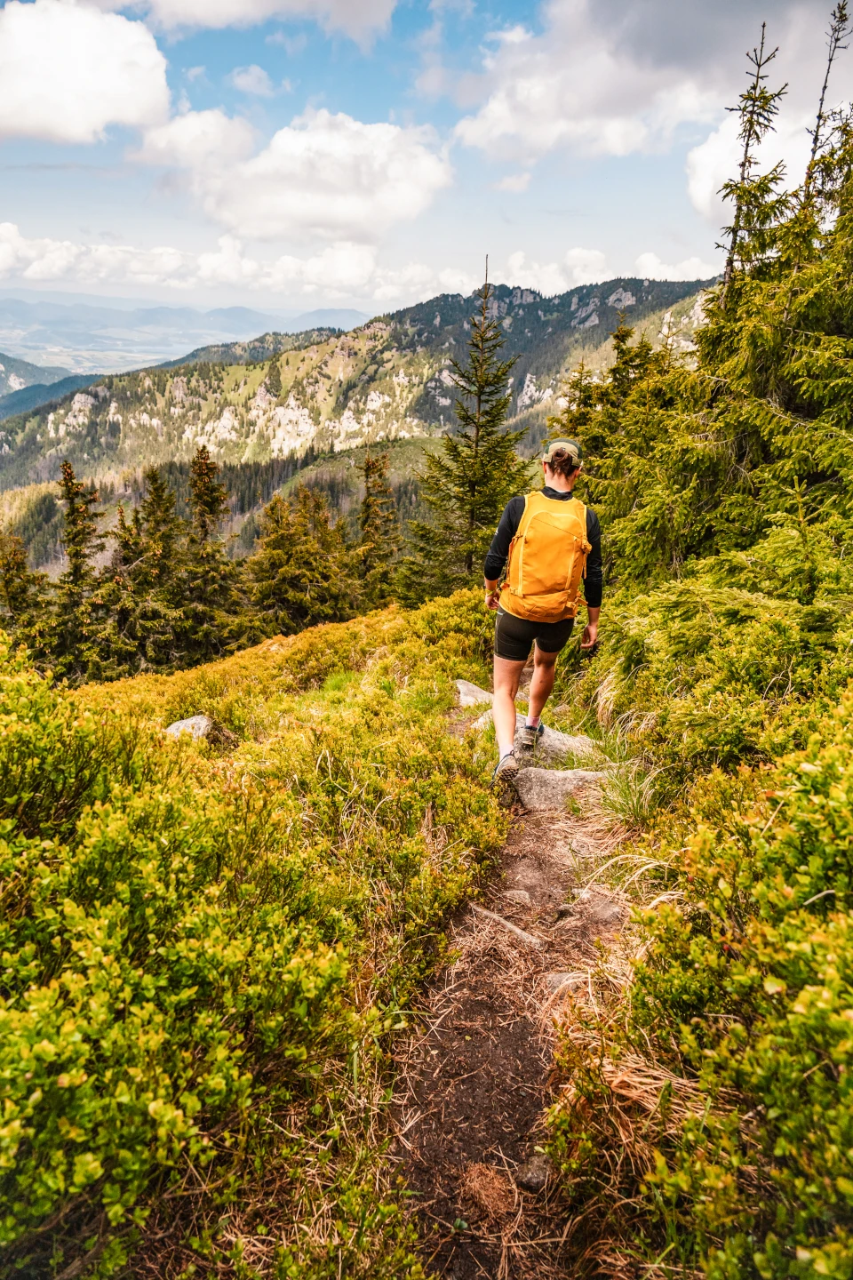 Hiker following a mountain trail