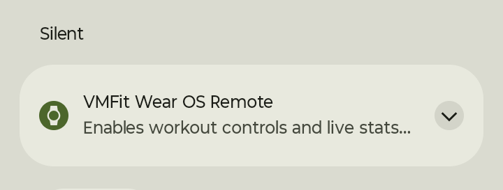 VMFit Wear OS Remote notification